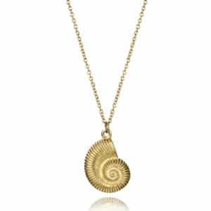 Collar Acero Ip Dorado Caracol Mar Sra Fsn