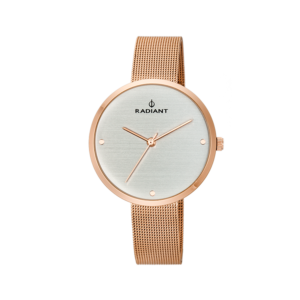 ESSENTIAL 36MM SILVER DIAL IPRG SS MESH