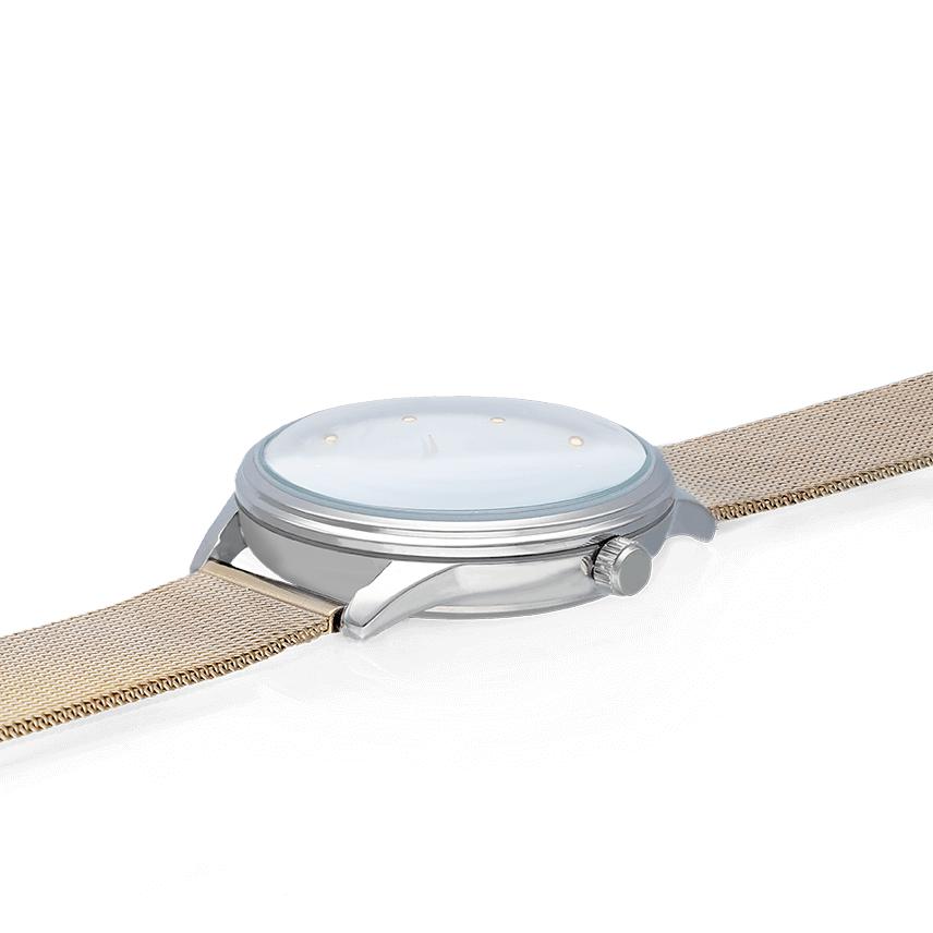 METAL&ROSES 36MM SILVER DIAL IPG MESH - Imagen 2